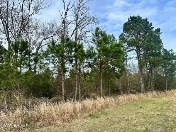 Tabor City, NC 28463,Tbd Andrew Lakes DR