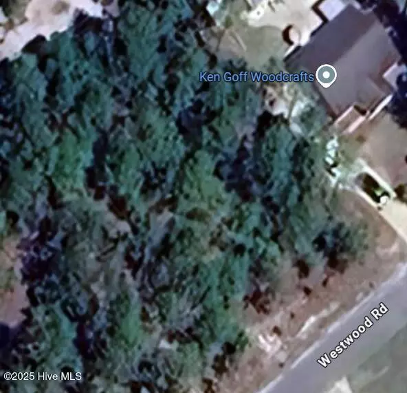 Boiling Spring Lakes, NC 28461,103 Westwood Rd