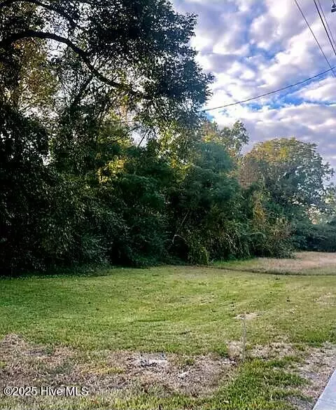 Warsaw, NC 28398,Lot 53 S Pine ST