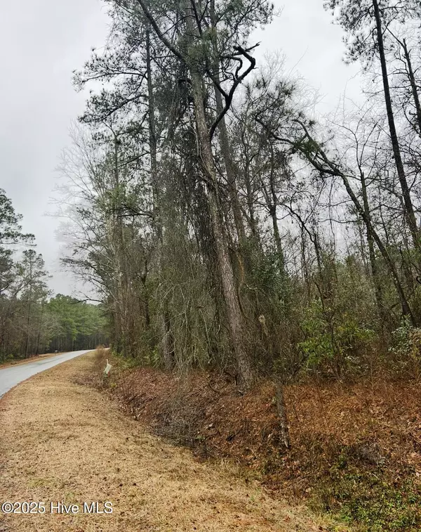Atkinson, NC 28421,4ac Near Keith Rd & Canetuck Rd RD