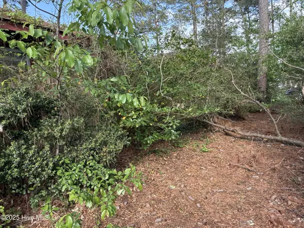 Belhaven, NC 27810,591 Pungo Shores DR