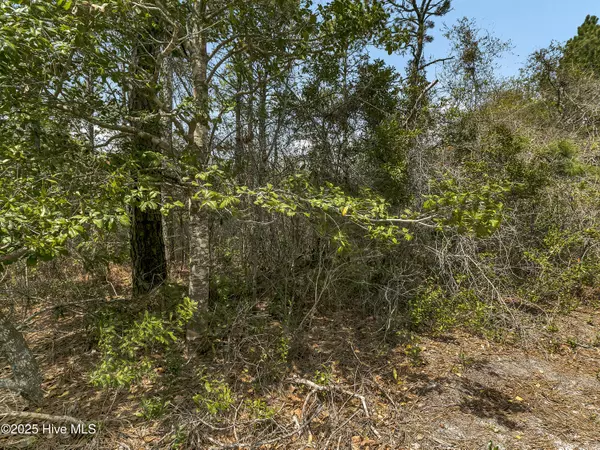 Hampstead, NC 28443,00 Old Whitfield RD