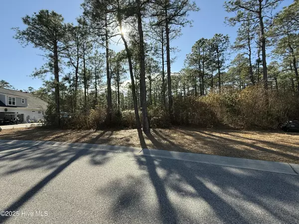 Leland, NC 28451,3720 Friendly Orange CT NE