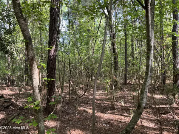 Lake Waccamaw, NC 28450,195 Pecan LN