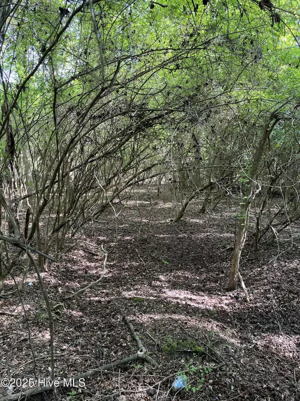Lake Waccamaw, NC 28450,195 Pecan LN