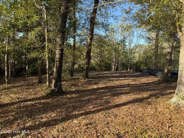 Southport, NC 28461,201 Willis DR