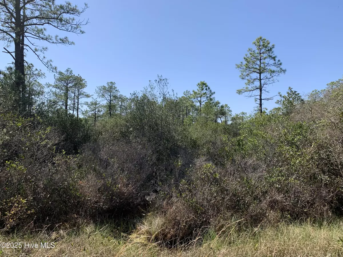 Boiling Spring Lakes, NC 28461,Lot 149 Bermuda RD