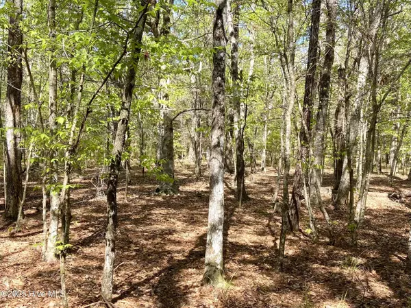 Beaufort, NC 28516,Lot 2 Berrys Creek RD