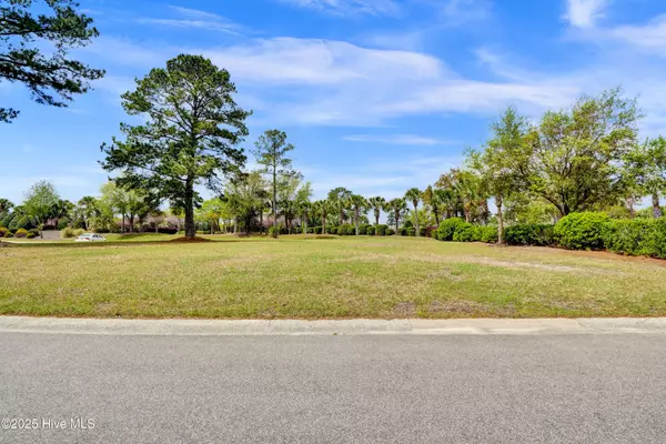 Leland, NC 28451,1007 Natural Springs WAY