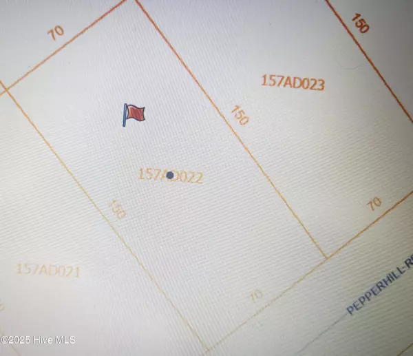 Boiling Spring Lakes, NC 28461,Lot 208 Pepperhill RD