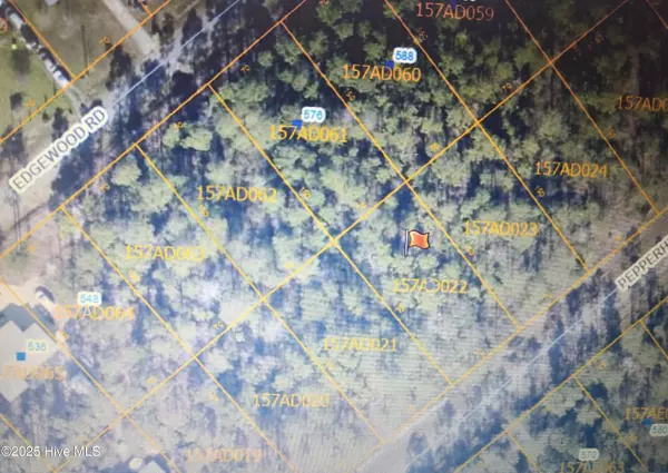 Boiling Spring Lakes, NC 28461,Lot 208 Pepperhill RD
