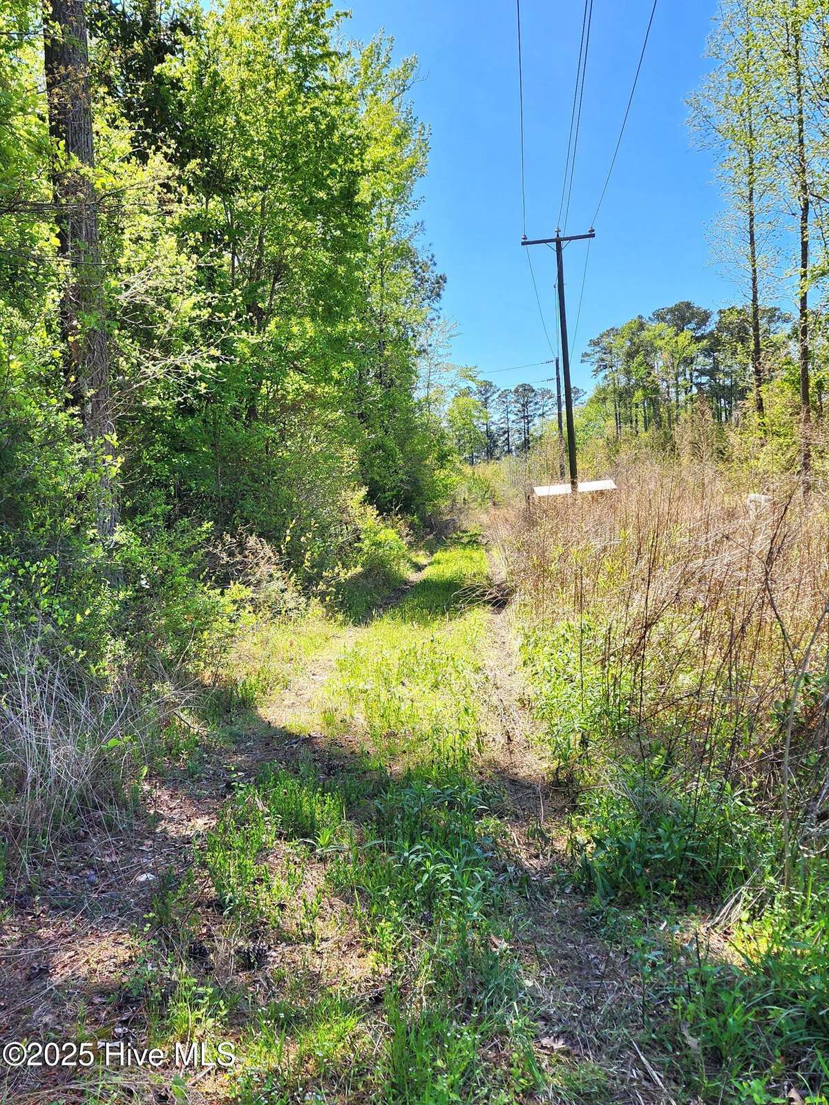 Aulander, NC 27805,305 Clyde AVE