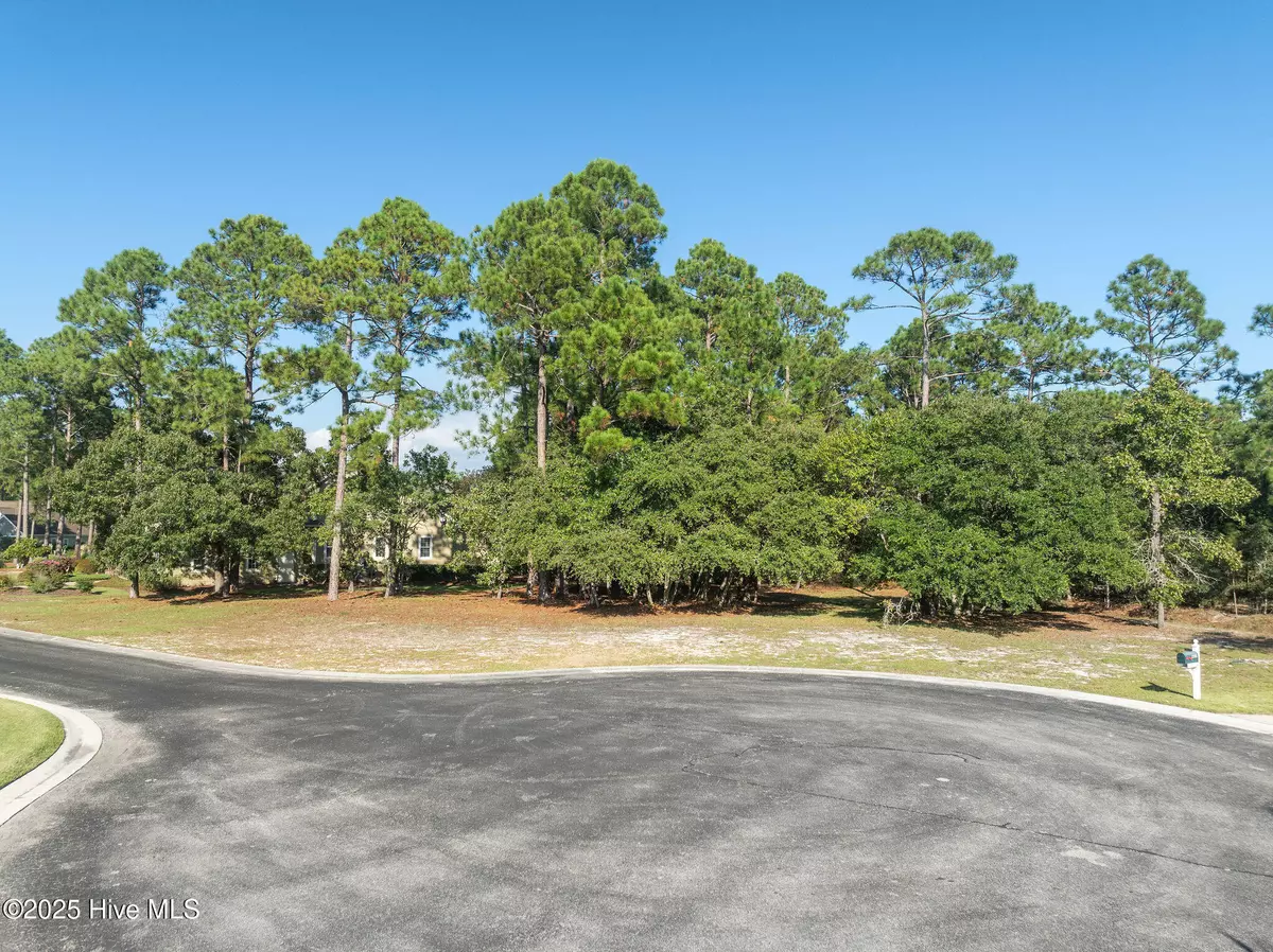 Bolivia, NC 28422,1744 Mute Swan LN SE