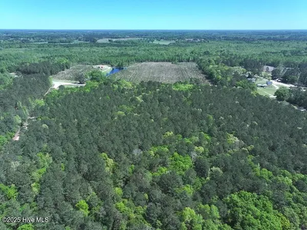 Fairmont, NC 28340,Tbd Sand Rock RD