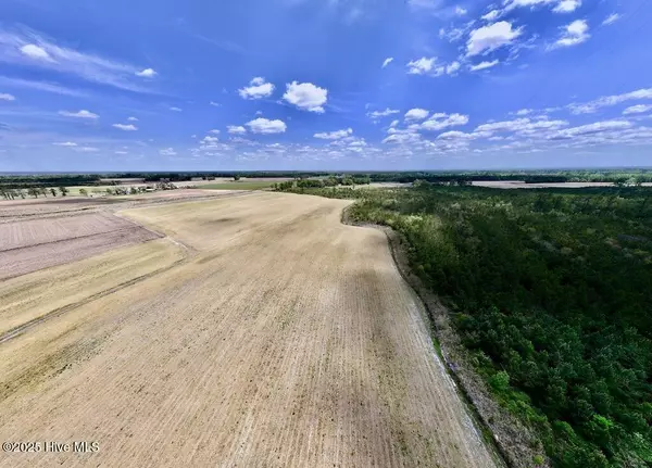 Trenton, NC 28585,02 Hwy 41