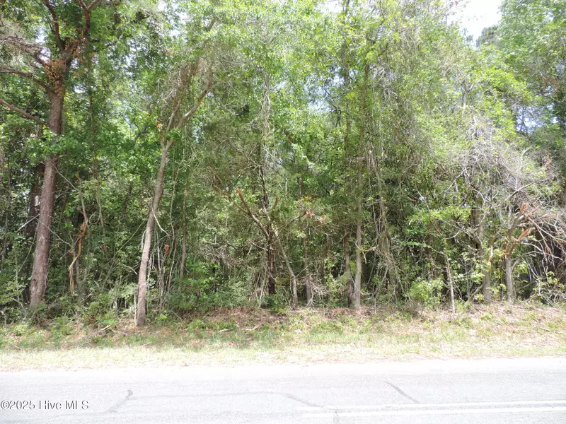 290 Perrytown Loop RD, New Bern, NC 28562