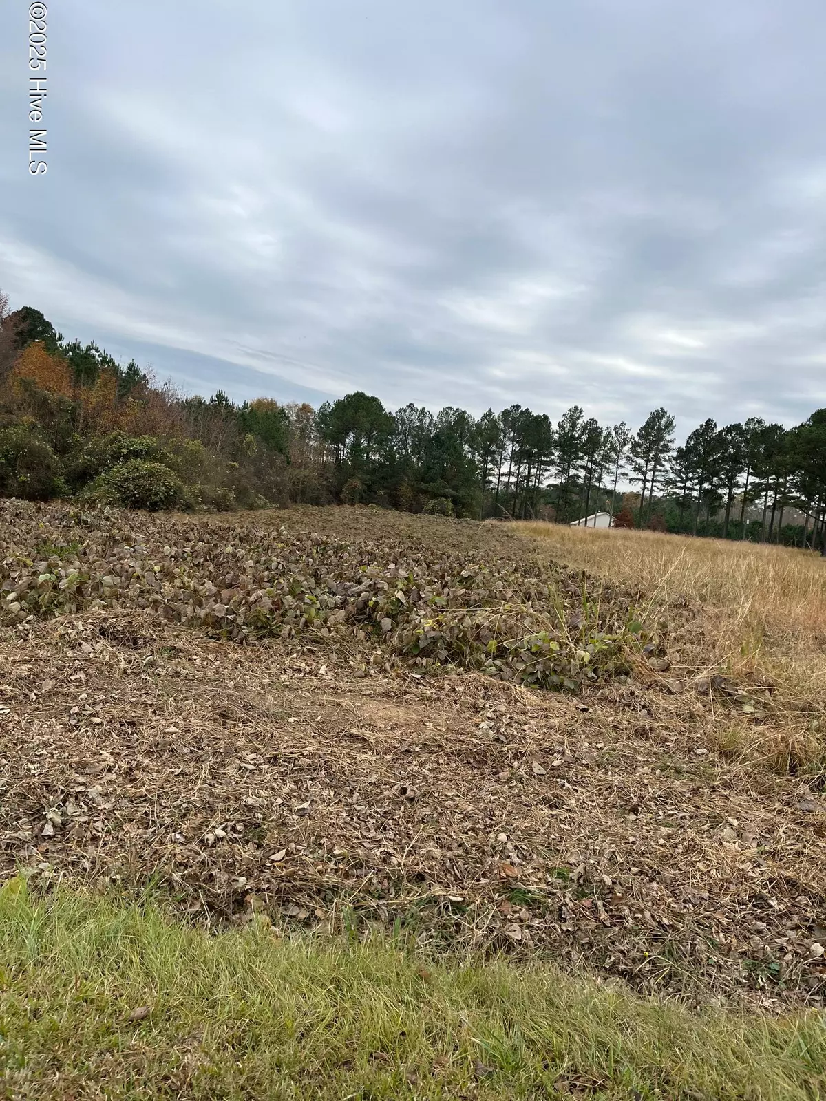 Ahoskie, NC 27910,0 Liverman Mill RD