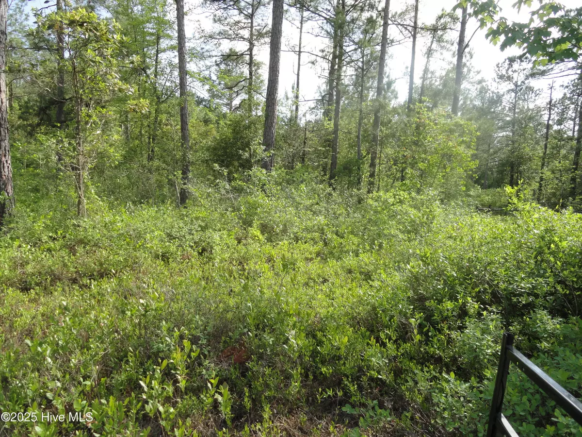 Burgaw, NC 28425,2 River Trail