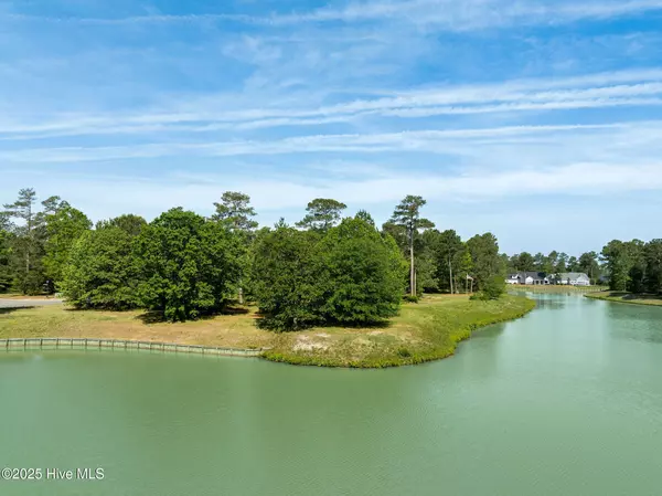 Wallace, NC 28466,126 Muscadine TRL