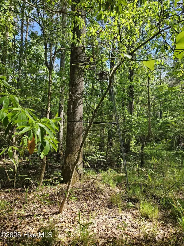 Tyner, NC 27980,416 Sandy Ridge RD