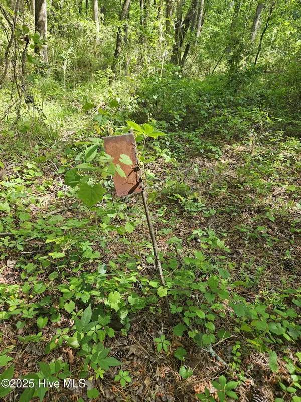 Tyner, NC 27980,416 Sandy Ridge RD