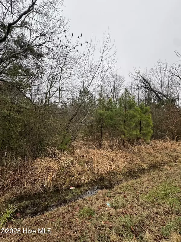 Pantego, NC 27860,894 Swamp RD