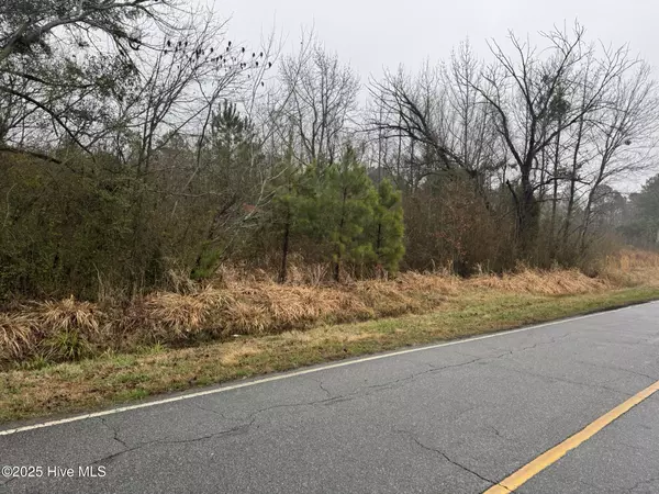 Pantego, NC 27860,894 Swamp RD
