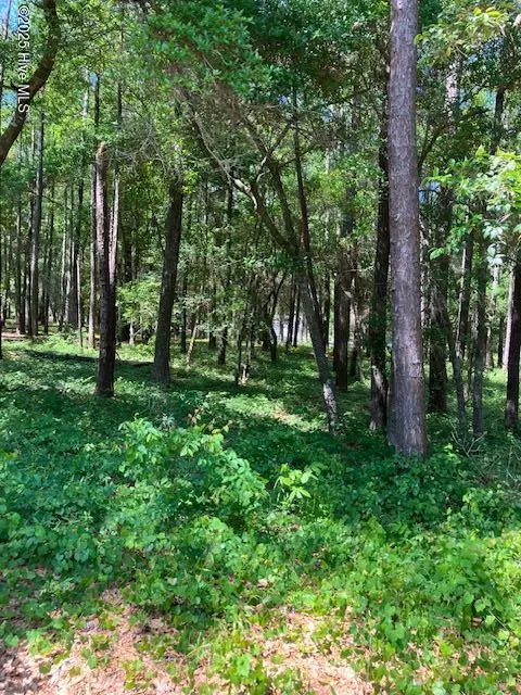 Bolivia, NC 28422,3287 Mooring DR SE