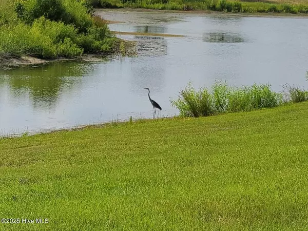 Merry Hill, NC 27957,111 /113 Majestic CIR