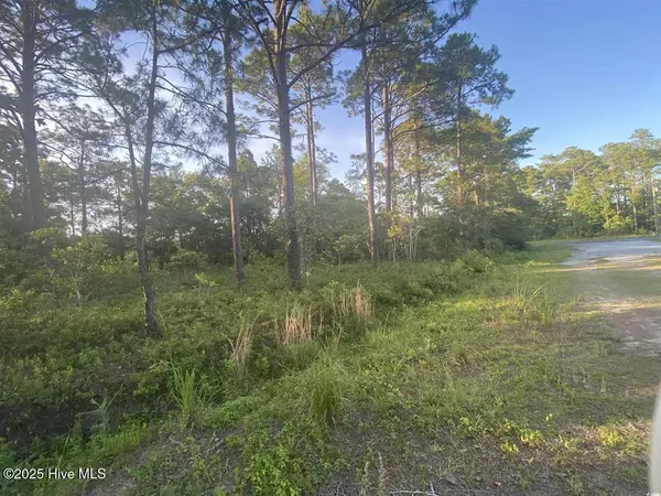 Calabash, NC 28467,2 Thicketwood DR