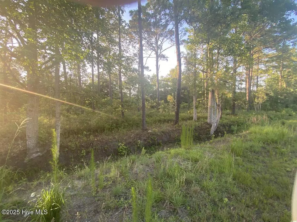 Calabash, NC 28467,2 Thicketwood DR