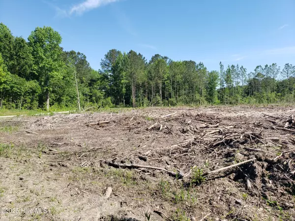 Bolton, NC 28423,23.95ac Loop RD
