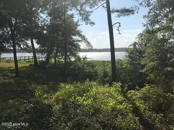 Bolivia, NC 28422,3247 Mullet Creek PL SE