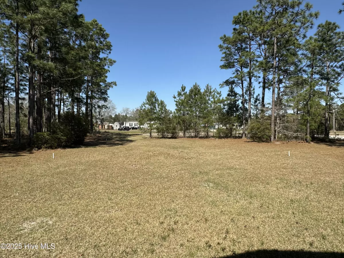 Leland, NC 28451,1435 Green Hill RD NE
