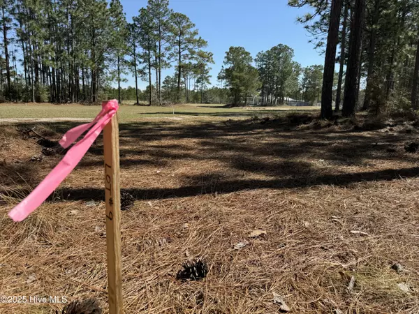 Leland, NC 28451,1435 Green Hill RD NE