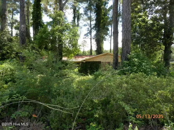 Whiteville, NC 28472,1106 Mary LN