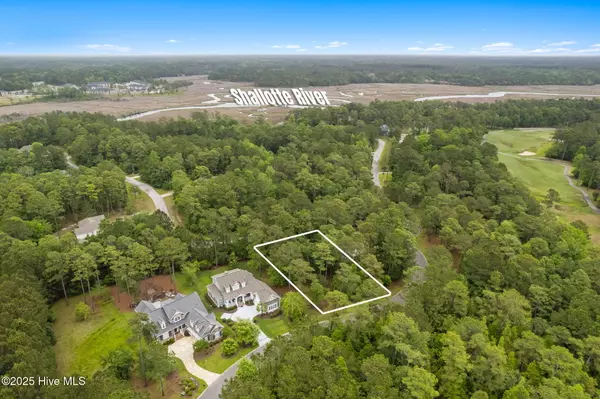 Shallotte, NC 28470,310 Bay Hill CT