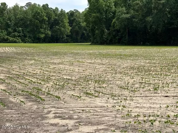 Dover, NC 28526,425 Biddle RD