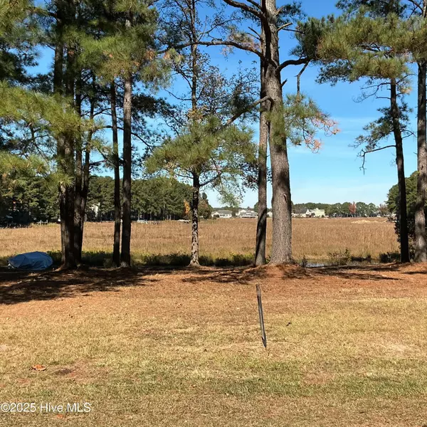 Vass, NC 28394,1159 Greenbriar DR