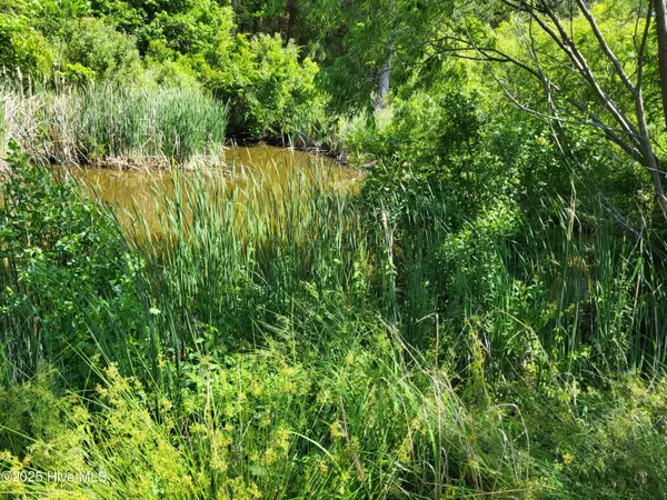 Aurora, NC 27806,205 Hickory LN