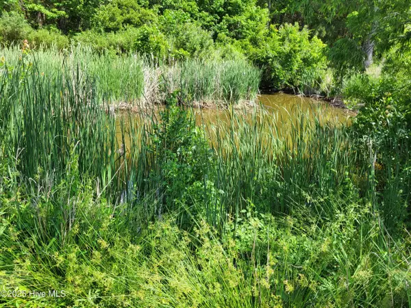 Aurora, NC 27806,205 Hickory LN