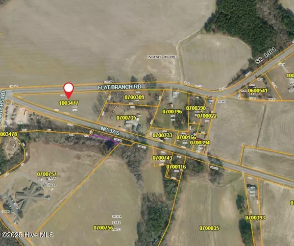 Tbd Flat Branch RD, Gatesville, NC 27938