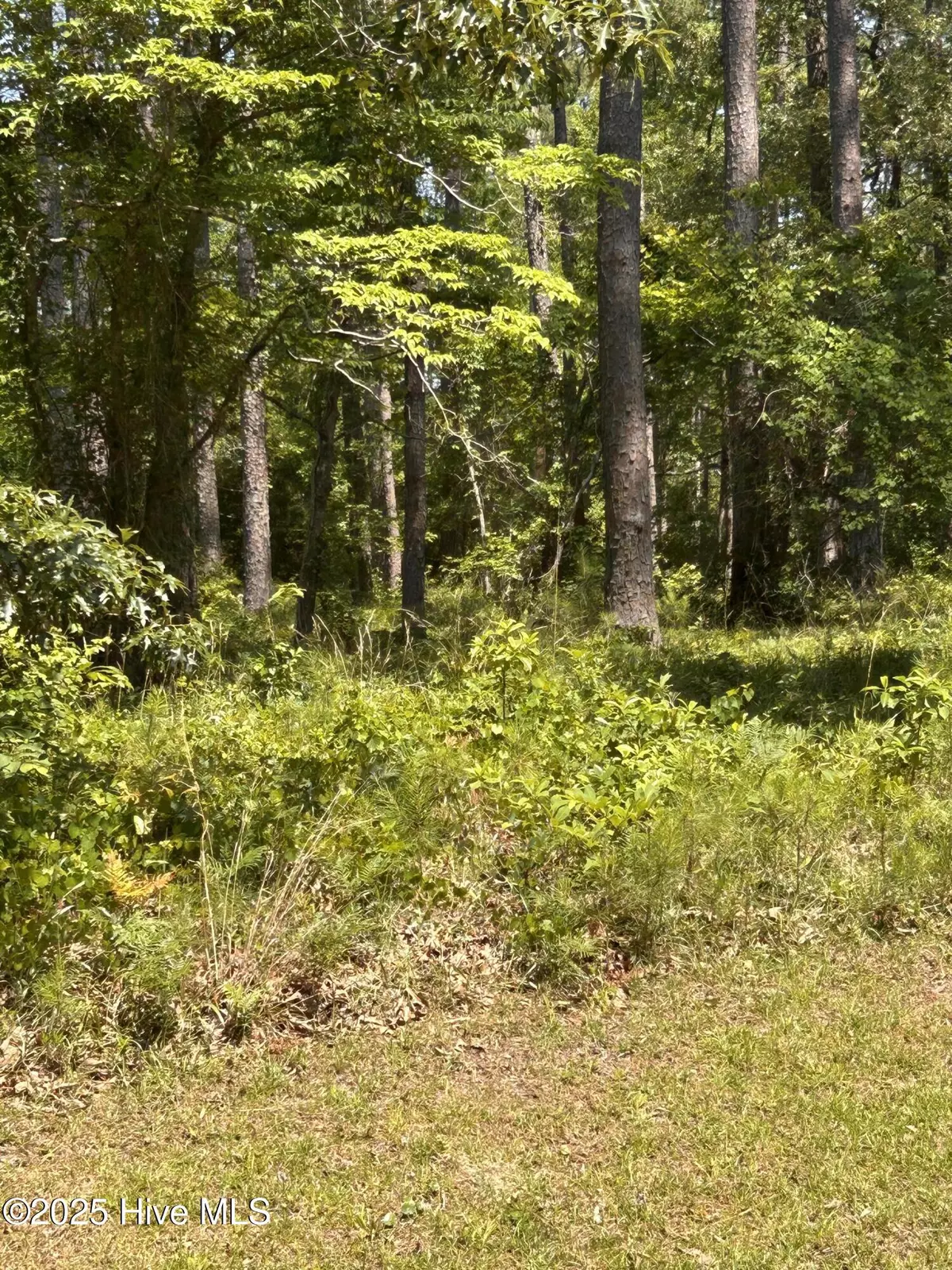 Beaufort, NC 28516,135 Martin Creek DR