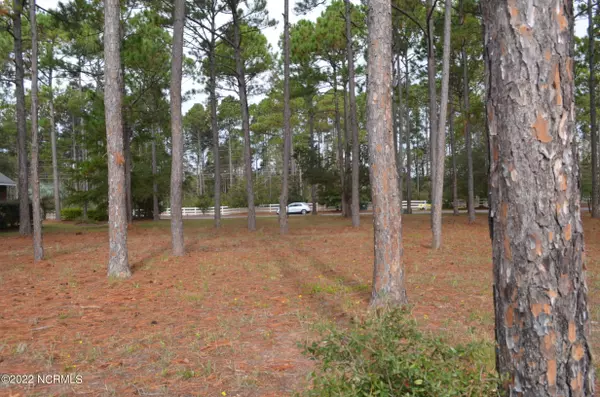 Sunset Beach, NC 28468,305 Planters Ridge DR SW