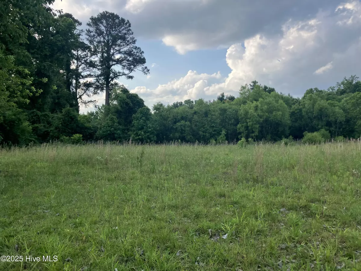 Wallace, NC 28466,1.167 Ac Raleigh RD