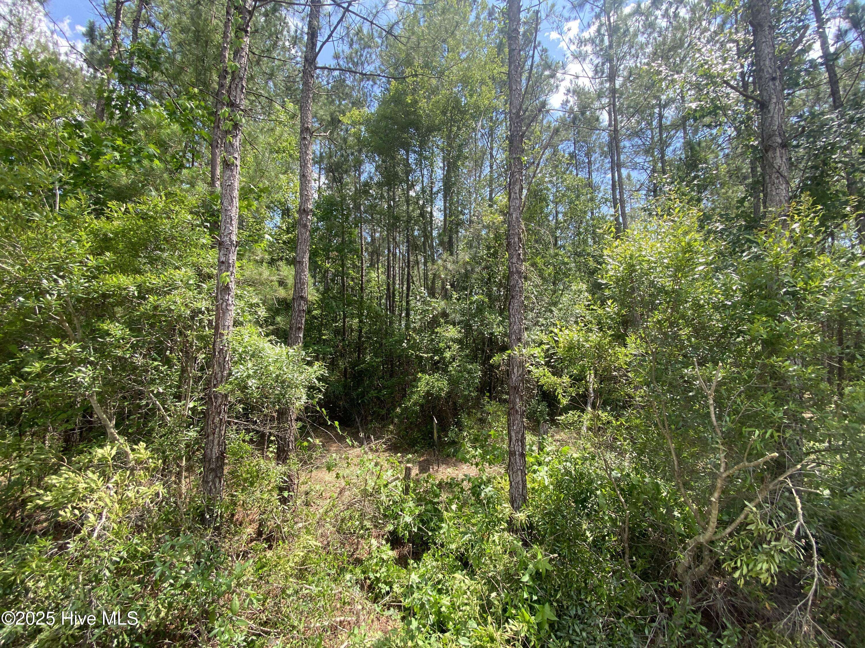 Leland, NC 28451,8891 Millers PATH NE