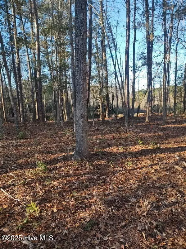 Supply, NC 28462,1251 Black Bear RUN SW