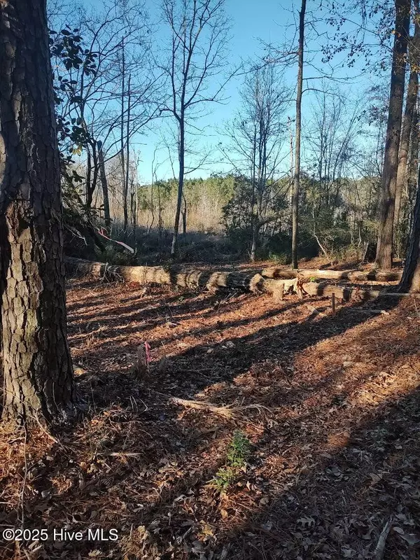 Supply, NC 28462,1251 Black Bear RUN SW