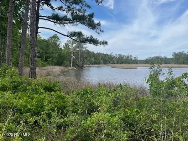 Peletier, NC 28584,141 Starkey Creek DR