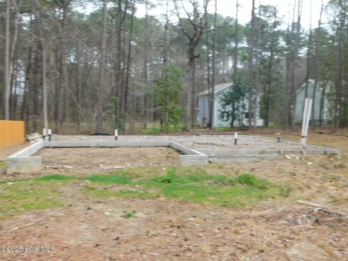 Vass, NC 28394,775 Riverbirch DR